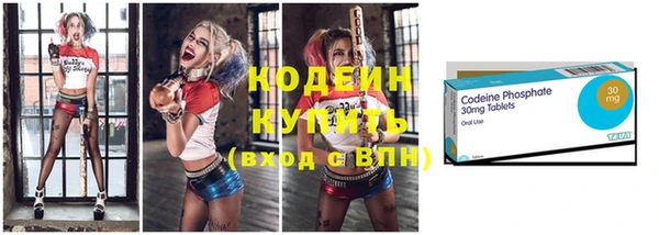 хмурый Верея