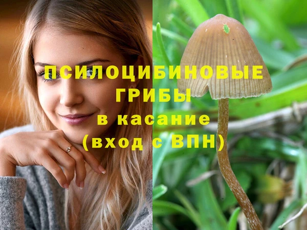 хмурый Верея