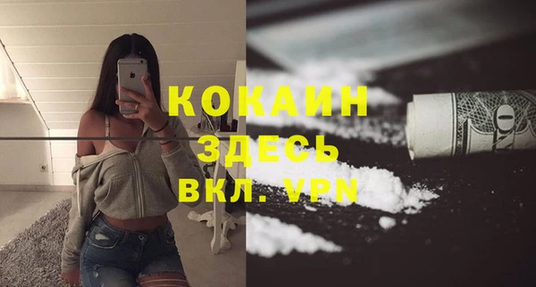 дживик Володарск
