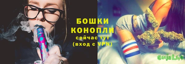 хмурый Верея