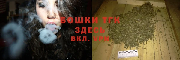 хмурый Верея