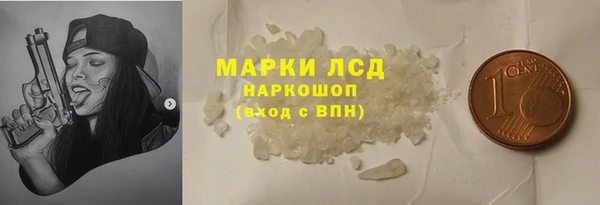 хмурый Верея