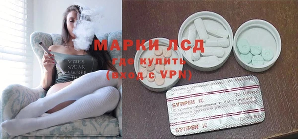 индика Бугульма