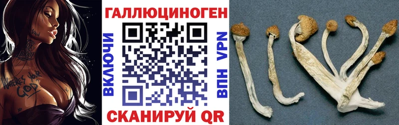 Псилоцибиновые грибы ЛСД  Верхняя Пышма 